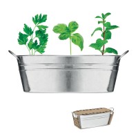Zinc tub with 3 herbs seeds
