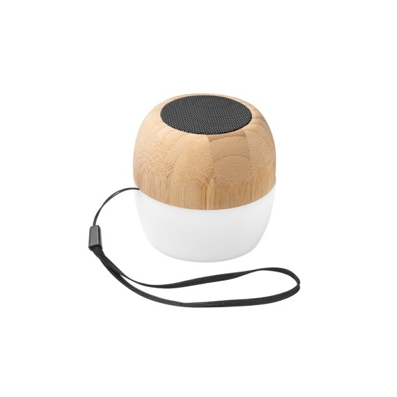 KALAM. Portable speaker with microphone