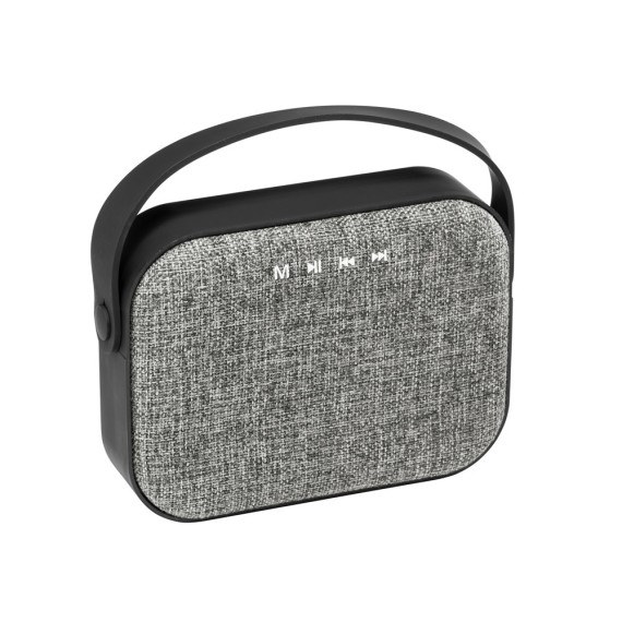 TEDS. Portable speaker with microphone