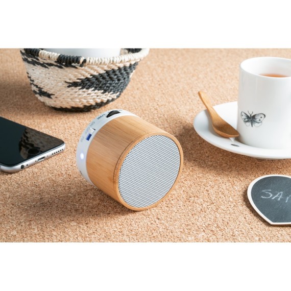 GLASHOW. Portable speaker with microphone