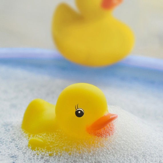 DUCK. Rubber duck in PVC