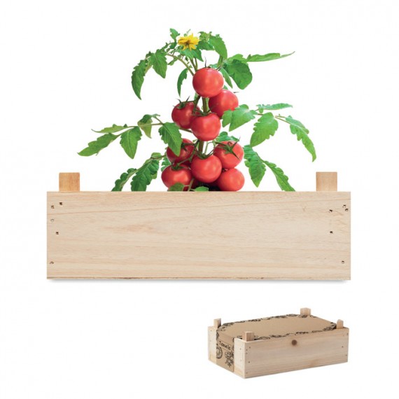 Tomato kit in wooden crate